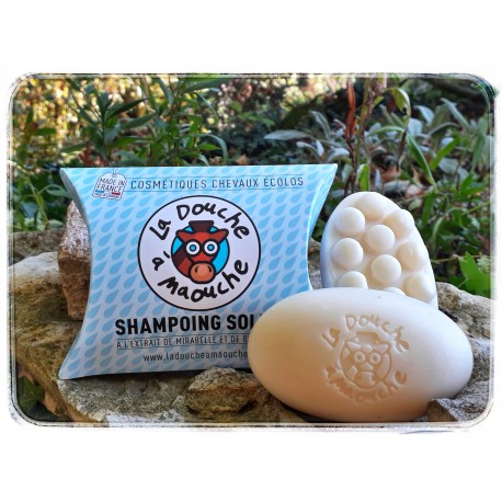 SHAMPOING SOLIDE 170G