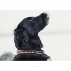 COLLIER CHIEN PENELOPE