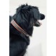 COLLIER CHIEN PENELOPE