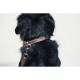 COLLIER CHIEN PENELOPE