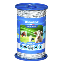 BLANFOR