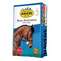 HAVENS BASIS SPORTSBROCK