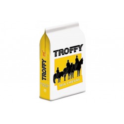 TROFFY MIX CHEVAL JAUNE