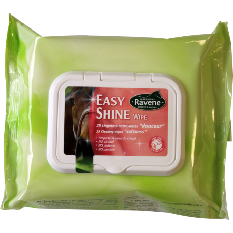 EASY SHINE WIPE 25 LINGETTES