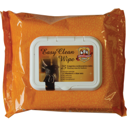 EASY CLEAN WIPE 25 LINGETTES