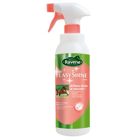 Easy Shine Ravene 750 ML