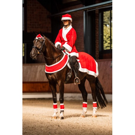 BONNET DE NOEL POUR CHEVAL/PONEY