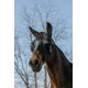 FLYMASK MASQUE ANTI MOUCHES ANTI UV EQUITHEME LYCRA