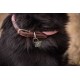 COLLIER POUR CHIEN PENELOPE BILLIE