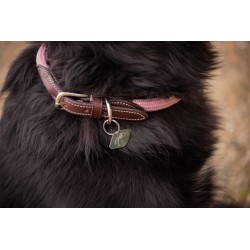 COLLIER POUR CHIEN PENELOPE BILLIE