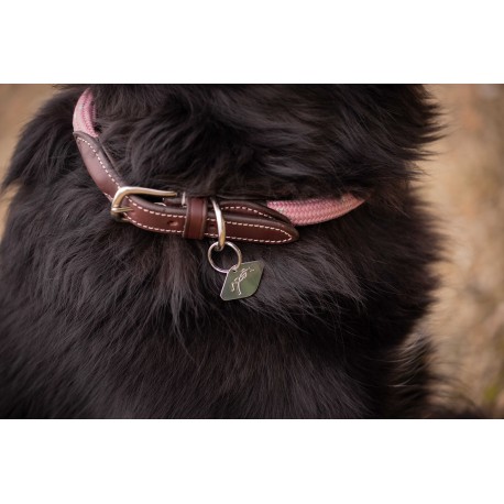 COLLIER POUR CHIEN PENELOPE BILLIE