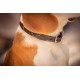 COLLIER POUR CHIEN PENELOPE BILLIE