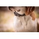 COLLIER POUR CHIEN PENELOPE BILLIE