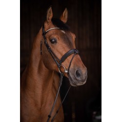 BRIDON PENELOPE DAILY STRASS