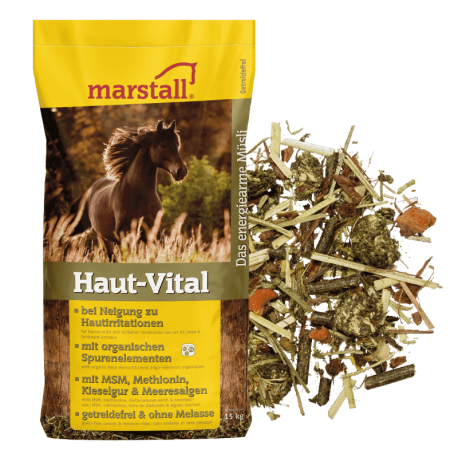 MARSTALL HAUT VITAL