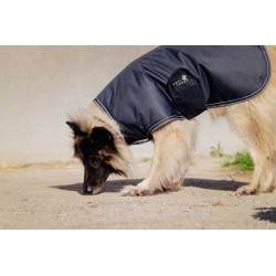 COUVERTURE POUR CHIEN EQUITHEME TYREX 600D 200G