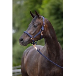 LICOL COVALLIERO CLASSY