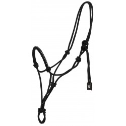 LICOL ETHOLOGIQUE NORTON DIAMS