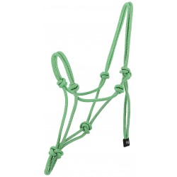 LICOL ETHOLOGIQUE NORTON GLIM