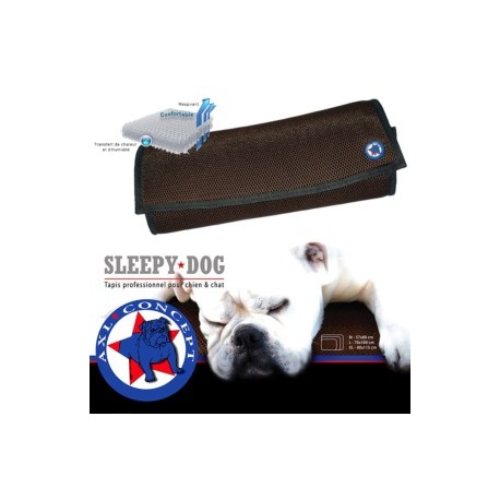 SLEEPY DOG AXL CONCEPT