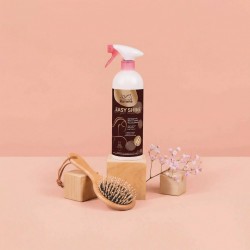 DEMELANT LUSTRANT EASYSHINE 20 ANS EDITION LIMITEE
