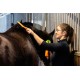 EQUINATURA DEMELANT LUSTRANT POUR LES CHAMPIONS