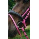BRIDON ENDURANCE NORTON POP