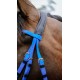 BRIDON ENDURANCE NORTON POP
