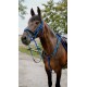 BRIDON ENDURANCE NORTON POP