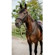 BRIDON ENDURANCE NORTON POP