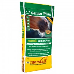 MARSTALL SENIOR PLUS