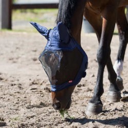 FLY MASK CAYMAN