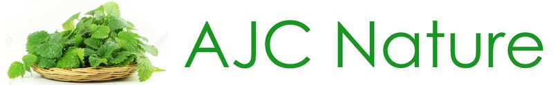 ajc-logo-1567007241.jpg