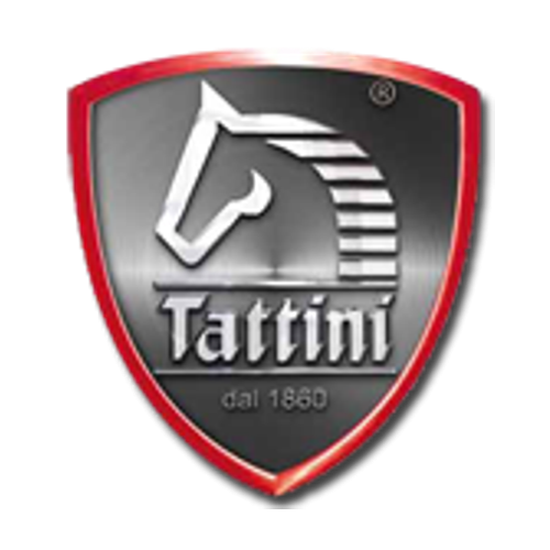 logo tattini.jpg