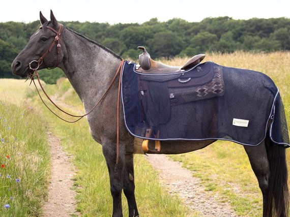 Les nouveaux produits pour protéger votre cheval des moustiques et des fortes chaleurs