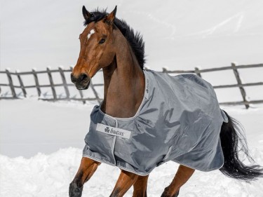 Les tendances en équipements équestres pour s'adapter au froid